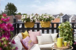 Elho Plantenbak Vibia Campana Flower Bridge 40cm Geel -KeramiekHuisNederland elho plantenbak vibia campana flower bridge 40cm geel 800x534 620e3d12b1b1c l