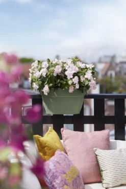 Elho Plantenbak Vibia Campana Flower Bridge 40cm Groen -KeramiekHuisNederland elho plantenbak vibia campana flower bridge 40cm groen 534x800 620e3d1fe9139 l