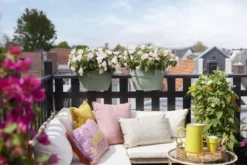 Elho Plantenbak Vibia Campana Flower Bridge 40cm Groen -KeramiekHuisNederland elho plantenbak vibia campana flower bridge 40cm groen 800x534 620e3d1f8777e l