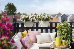 Elho Plantenbak Vibia Campana Flower Bridge 40cm Wit 10 Elho Plantenbak Vibia Campana Flower Bridge 40cm Wit -KeramiekHuisNederland elho plantenbak vibia campana flower bridge 40cm wit 800x534 620e3d22bb538 l