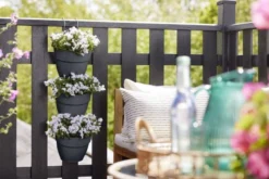 Elho Plantenbak Vibia Campana Vertical Forest Set/3 Grijs 10 Elho Plantenbak Vibia Campana Vertical Forest Set/3 Grijs -KeramiekHuisNederland elho plantenbak vibia campana vertical forest set 3 grijs 800x534 620e3cea93270 l