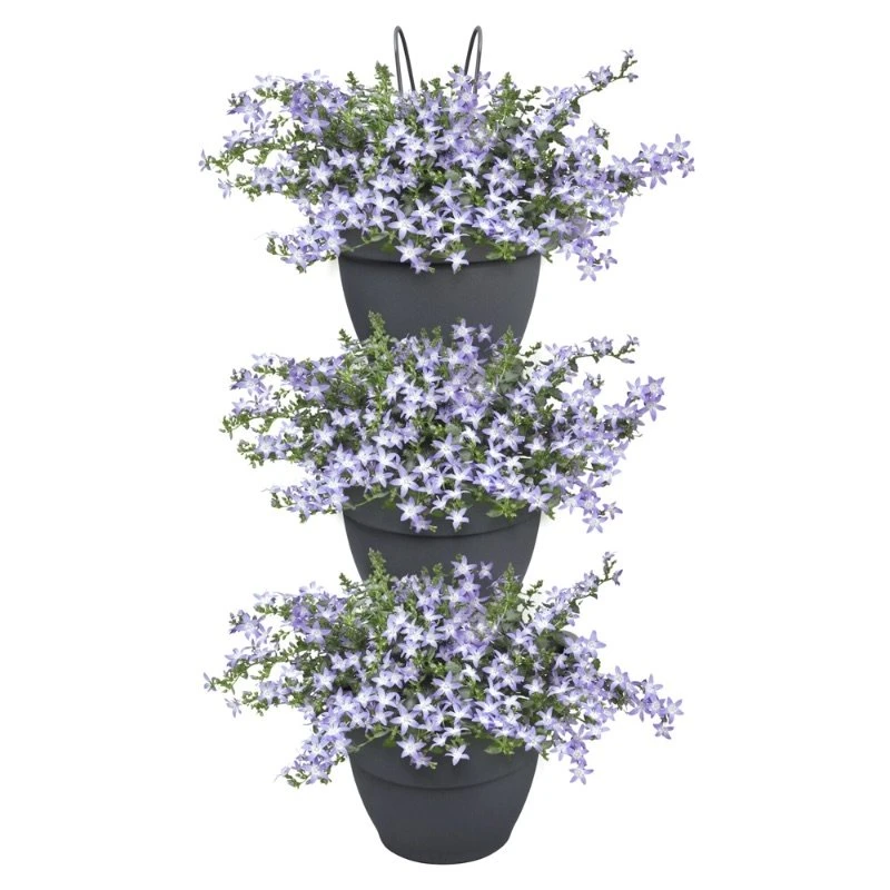 Elho Plantenbak Vibia Campana Vertical Forest Set/3 Grijs 3 Elho Plantenbak Vibia Campana Vertical Forest Set/3 Grijs - Afbeelding 3