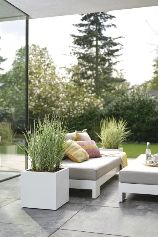 Elho Plantenbak Vivo Next Vierkant 30cm Wit 1 Elho Plantenbak Vivo Next Vierkant 30cm Wit