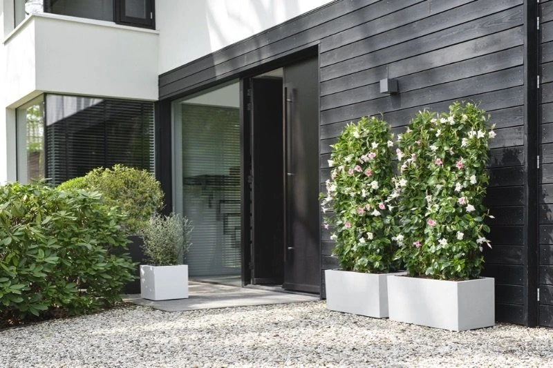 Elho Plantenbak Vivo Next Vierkant 30cm Wit 2 Elho Plantenbak Vivo Next Vierkant 30cm Wit - Afbeelding 2