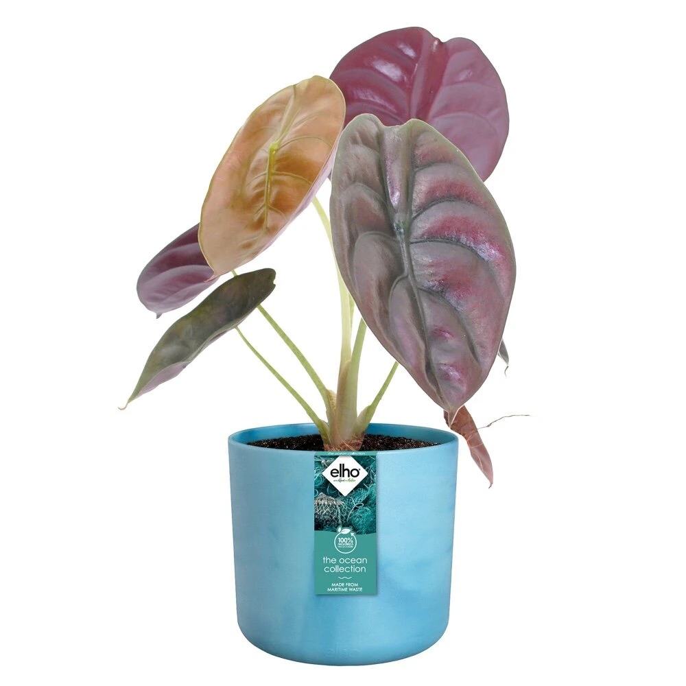 Elho The Ocean Collection Round 22 Cm Blauw 3 Elho The Ocean Collection Round 22 Cm Blauw - Afbeelding 3