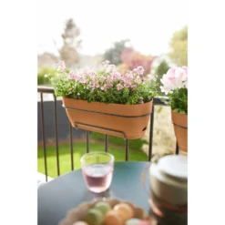 Elho Vibia Campana Balkonbak 50 Cm Bruin -KeramiekHuisNederland elho vibia campana balkonbak 50 cm bruin 1000x1000 64aebb242c69a l