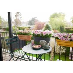 Elho Vibia Campana Balkonbak 70 Cm Bruin -KeramiekHuisNederland elho vibia campana balkonbak 70 cm bruin 1000x1000 64aebb32adf88 l