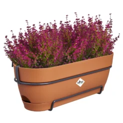 Elho Vibia Campana Balkonbak Allin1 50 Cm Bruin 9 Elho Vibia Campana Balkonbak Allin1 50 Cm Bruin -KeramiekHuisNederland elho vibia campana balkonbak allin1 50 cm bruin 1000x1000 64aebb051bf3c l