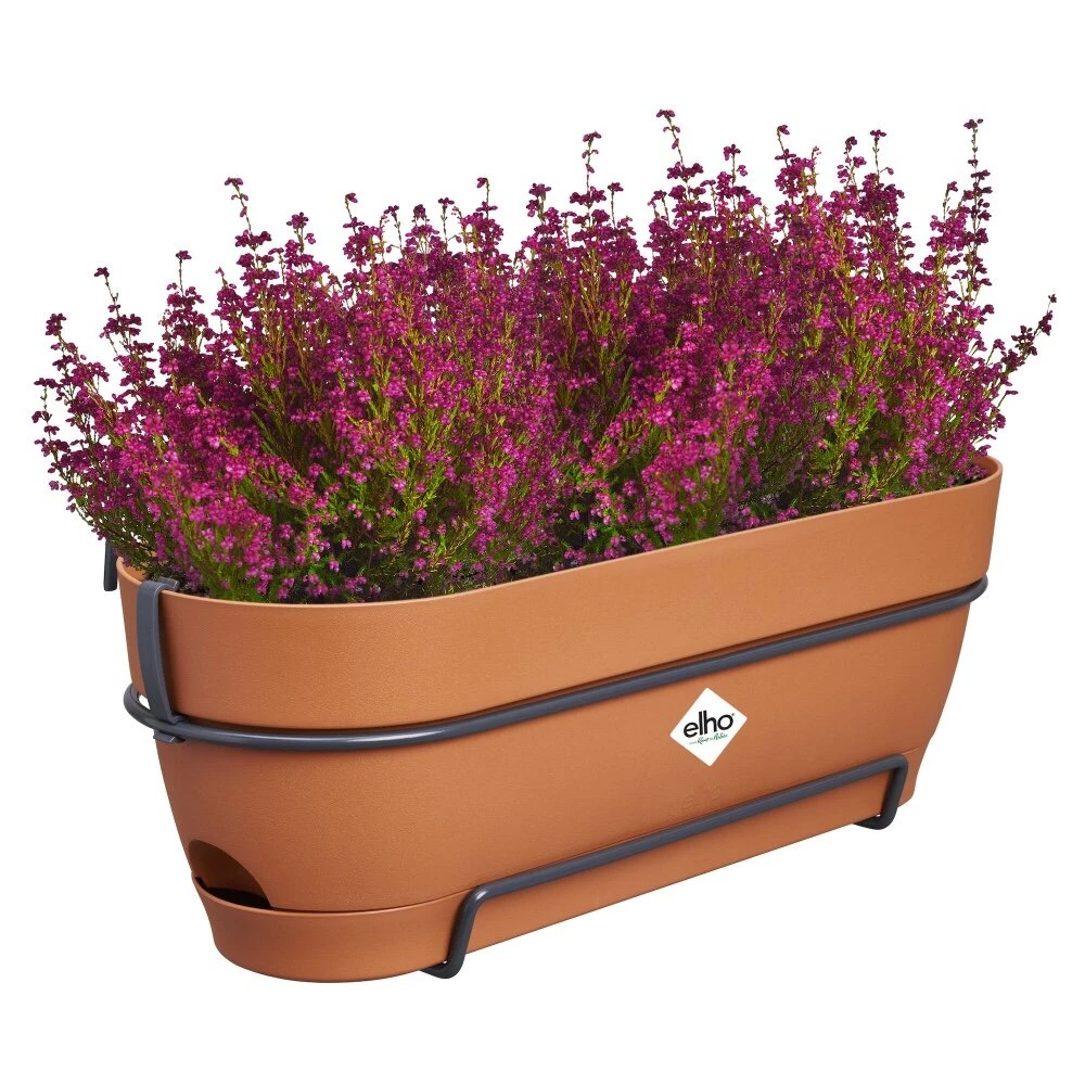 Elho Vibia Campana Balkonbak Allin1 50 Cm Bruin 3 Elho Vibia Campana Balkonbak Allin1 50 Cm Bruin - Afbeelding 3