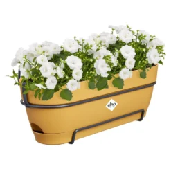 Elho Vibia Campana Balkonbak Allin1 50 Cm Geel -KeramiekHuisNederland elho vibia campana balkonbak allin1 50 cm geel 1000x1000 64aebafe3b2fd l