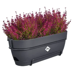 Elho Vibia Campana Balkonbak Allin1 50 Cm Zwart -KeramiekHuisNederland elho vibia campana balkonbak allin1 50 cm zwart 1000x1000 64aebb08e39c9 l