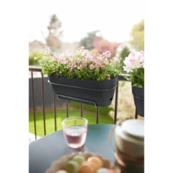 Elho Vibia Campana Balkonbak Allin1 50 Cm Zwart -KeramiekHuisNederland elho vibia campana balkonbak allin1 50 cm zwart 1000x1000 64aebb09acfcd l