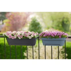 Elho Vibia Campana Balkonbak Allin1 50 Cm Zwart -KeramiekHuisNederland elho vibia campana balkonbak allin1 50 cm zwart 1000x1000 64aebb09e8c74 l