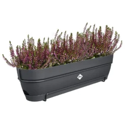 Elho Vibia Campana Balkonbak Allin1 70 Cm Zwart -KeramiekHuisNederland elho vibia campana balkonbak allin1 70 cm zwart 1000x1000 64aebaf97023f l