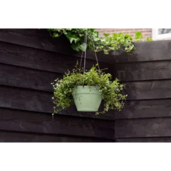 Elho Vibia Campana Hangschaal 26 Cm -KeramiekHuisNederland elho vibia campana hangschaal 26 cm 1000x1000 64aebabd5159e l