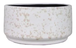 Floran Schaal Roxy D23/25 H13cm Lichtgroen