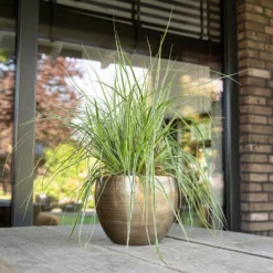 Pot Rowen Gold D33 H25 5 Pot Rowen Gold D33 H25 -KeramiekHuisNederland pot rowen gold d33 h25 1000x1000 6427f845ad192 l