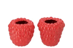 Raspberry Vaas Fuchsia 19x19cm