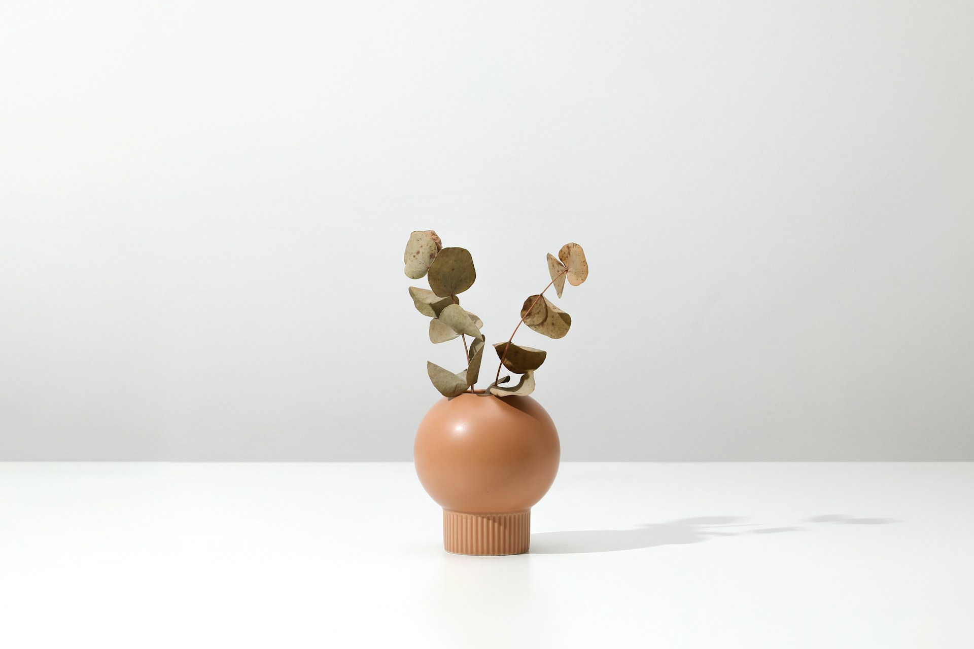 KeramiekHuisNederland 2 KeramiekHuisNederland -KeramiekHuisNederland hudai gayiran 1w8d1LX8XRc unsplash